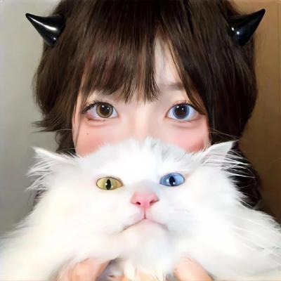 Return Man：我是失物协寻师